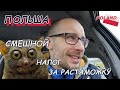 Растаможка авто в Польше. Как заплатить Акцизный Сбор?