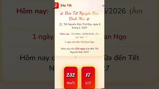 Tết 2027- còn 233 ngày nữa đến Tết #daudosaigon #tet2027 #tetdinhmui #tet