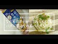 【料理動画】なめ茸のバター醤油パスタのレシピ // なめ茸パスタ // 簡単お手軽レシピ