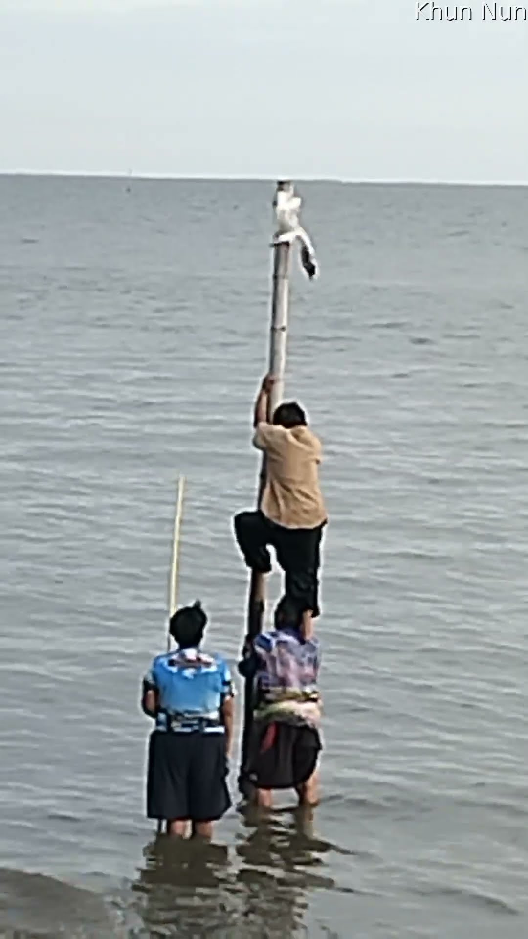 Kind Stranger Climbs Pole to Rescue Seagull || ViralHog