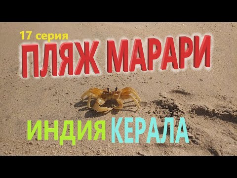 Видео: Марари Бийч в Керала: Вашият основен пътеводител