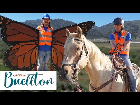 Outdoor Playground and Horseback Riding Handyman Hal meets awesome animals discoverbuellton by Handyman Hal