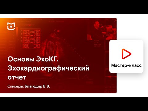 Основы ЭхоКГ. Эхокардиографический отчет. Благодир Б.В.