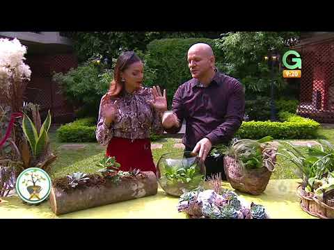 Video: Cómo Crear Hermosos Arreglos Florales En El Jardín