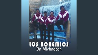 Video thumbnail of "Los Bohemios Michoacan - Los Velez"