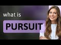 Pursuit  what is pursuit definition