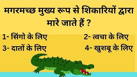 ctet 4 January 2022 solved paper ll ctet previous year paper analysis ll evs ll part 1 ll pc