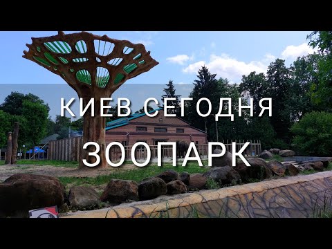 Видео: Киев. Танцующий слон и  - что вообще сейчас происходит в зоопарке ..?!
