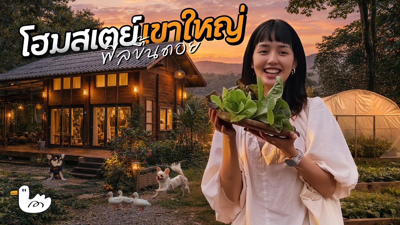 เก็บผักกินเอง! โฮมสเตย์ชนบท ใกล้กรุงเทพฯ หมาเข้าพักได้ | เขาใหญ่