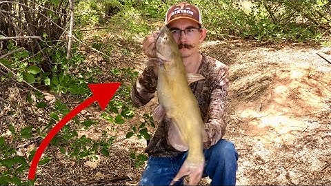 How To Catch Catfish During The Spawn