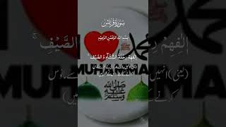 Suratul Qureesh سورۃ القریش #shortvideo #suratulqureesh@DrbarSultanabrahem #alquran