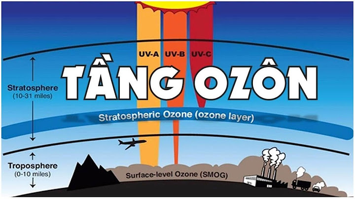 Máy phân tích ozon bằng phát quang hóa học năm 2024