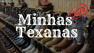 Minhas Texanas Atualizado 2023