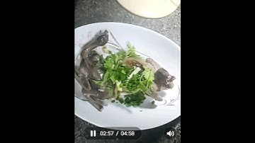 Bồ câu ra ràng nấu gì cho ngon và dễ.#shorts