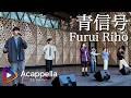 【青信号 / Furui Riho】Acai Sakurai(アカペラ)