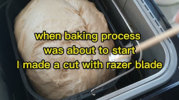 Quick  sourdough bread  from Panasonic Bread Maker