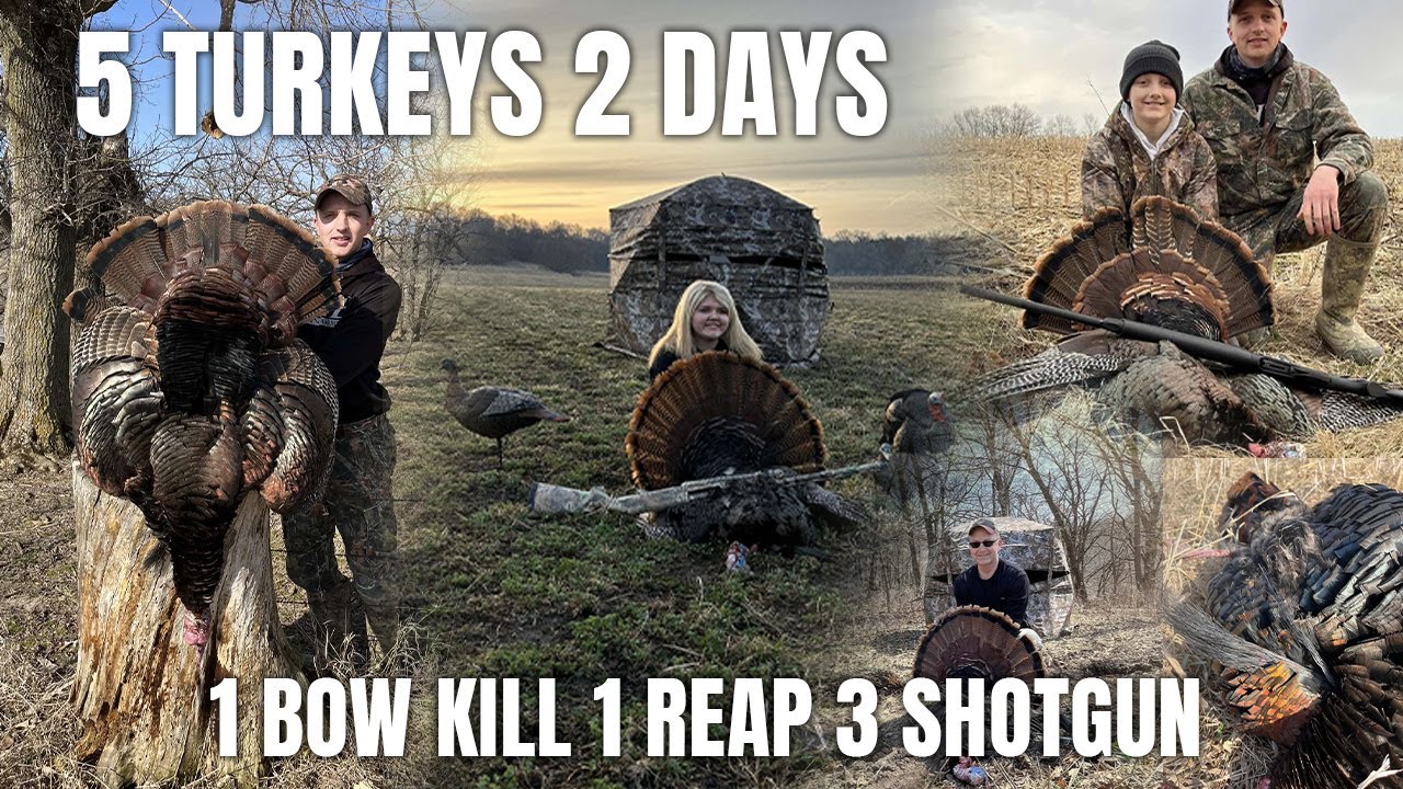 5 Turkeys 2 Days (Iowa Turkey Hunting) YouTube