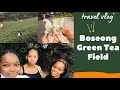 Boseong Green Tea Plantation | TRAVEL VLOG #1 | Korea | Jeollanamdo  |  | South African YouTuber