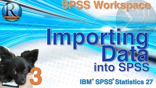 Importing Data into SPSS 27 - Statistics with SPSS for Beginners (with Puppies) (3 of 8)