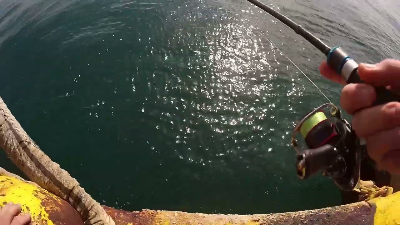 ψάρεμα 2 2024 LRF texas rig 3g δεν τρώνε τα ψάρια δεν τους άρεσε το δόλωμα τι φταίει δεν γνωρίζω