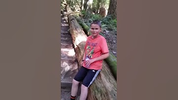 Grouse Grind- Saturday May 7, 2016- 4:20 PM