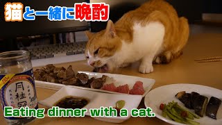 видео: Ужинаю с котом. Из Японии. картинка: Ужинаю с котом. Из Японии.