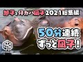 【旭子と仔カバ凪子2021総集編】50分連続ずっと凪子！[Asahiyama Zoo] 50 min of baby Hippo Nagiko!