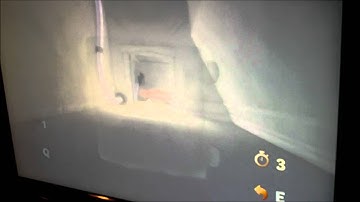 Quantum Conundrum - Cat