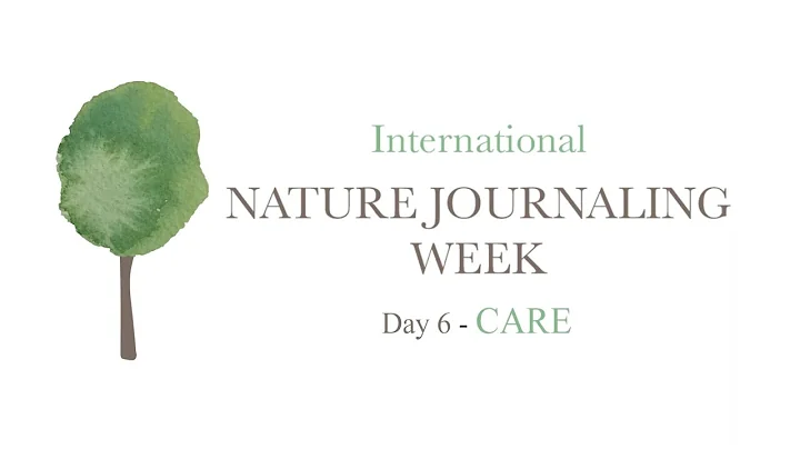 Day 6 of International Nature Journaling Week 2022: Care - DayDayNews