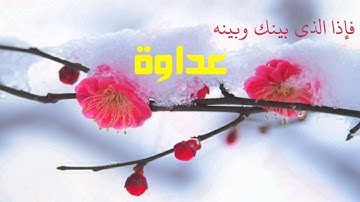 سورة فصلت خالد القحطاني Surah Fussilat