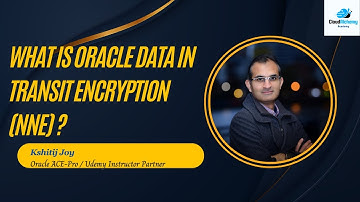 what is Oracle Native Network Encryption(NNE) - data in transit encryption