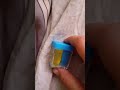 sharpener eats her lemon.