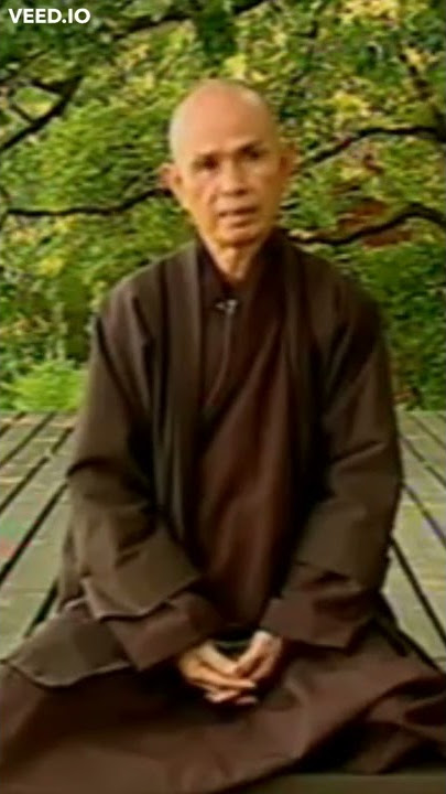 What is Buddhist Meditation | Thich Nhat Hanh | Plum Village #Shorts