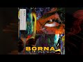 Borna  embrace your destiny full album stream