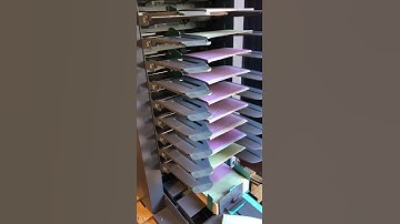 video 1 alzadora dfc 10