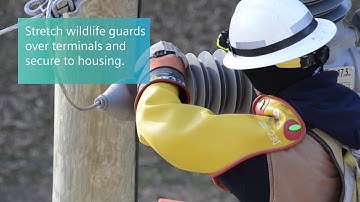 Compact Modular Recloser (CMR) - Typical crossarm installation