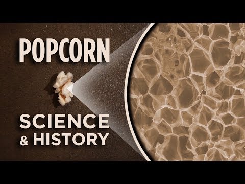 Popcorn Under A Microscope