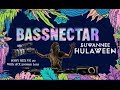 Bassnectar / HULA -- October, 25th, 2019 -- Sony NEX VG 20