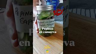 Pepinos En Conserva O Encurtidos