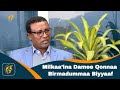 Milkaa’ina Damee Qonnaa Birmadummaa Biyyaaf