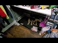 Dog kennel fits even our big dog - great for nights