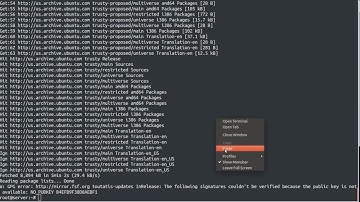 How To install GNU IceCat on ubuntu Linux