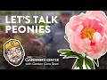 Let's Talk Peonies  🪴 Pro Talk with Sean at The Gardener's Center