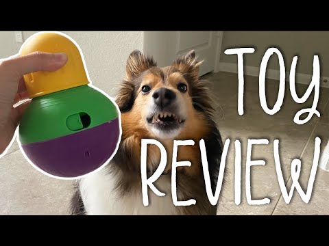 Pet Supplies : Pet Chew Toys : Starmark Bob-A-Lot Interactive Dog