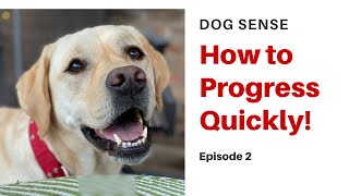 Dog Sense (Ep.2) - Efficient Dog Training! by Training Positive 5,571 views 3 years ago 5 minutes, 18 seconds