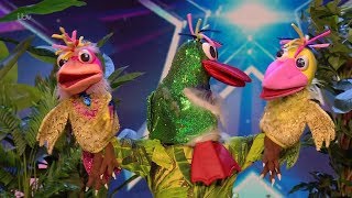 Britains Got Talent 2020 Birds of Paradise Full Audition S14E04