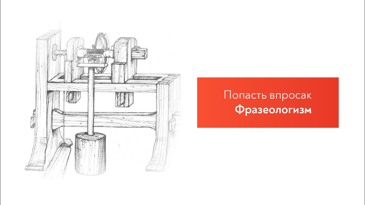 Попасть впросак ситуация употребления фразеологизма. Попасть в просак фразеологизм. Впросак фразеологизм. Фразеологизм попасть впросак. Попасть впросак рисунок.