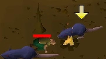 What happens when you die on tutorial island?