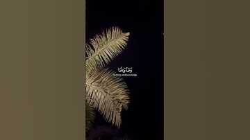 تلاوة خاشعة بصوت القارئ علي جابر من سورة غافر