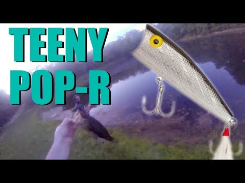 Fishing Lures: Rebel Teeny Pop-R catches nice bass 